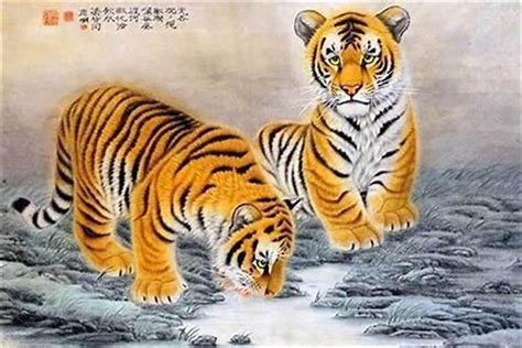 1974生肖|1974年出生属什么生肖 1974年属虎是什么命